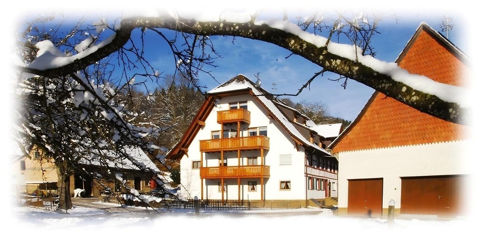 Mayer Burghoefe Owingen Esterno foto
