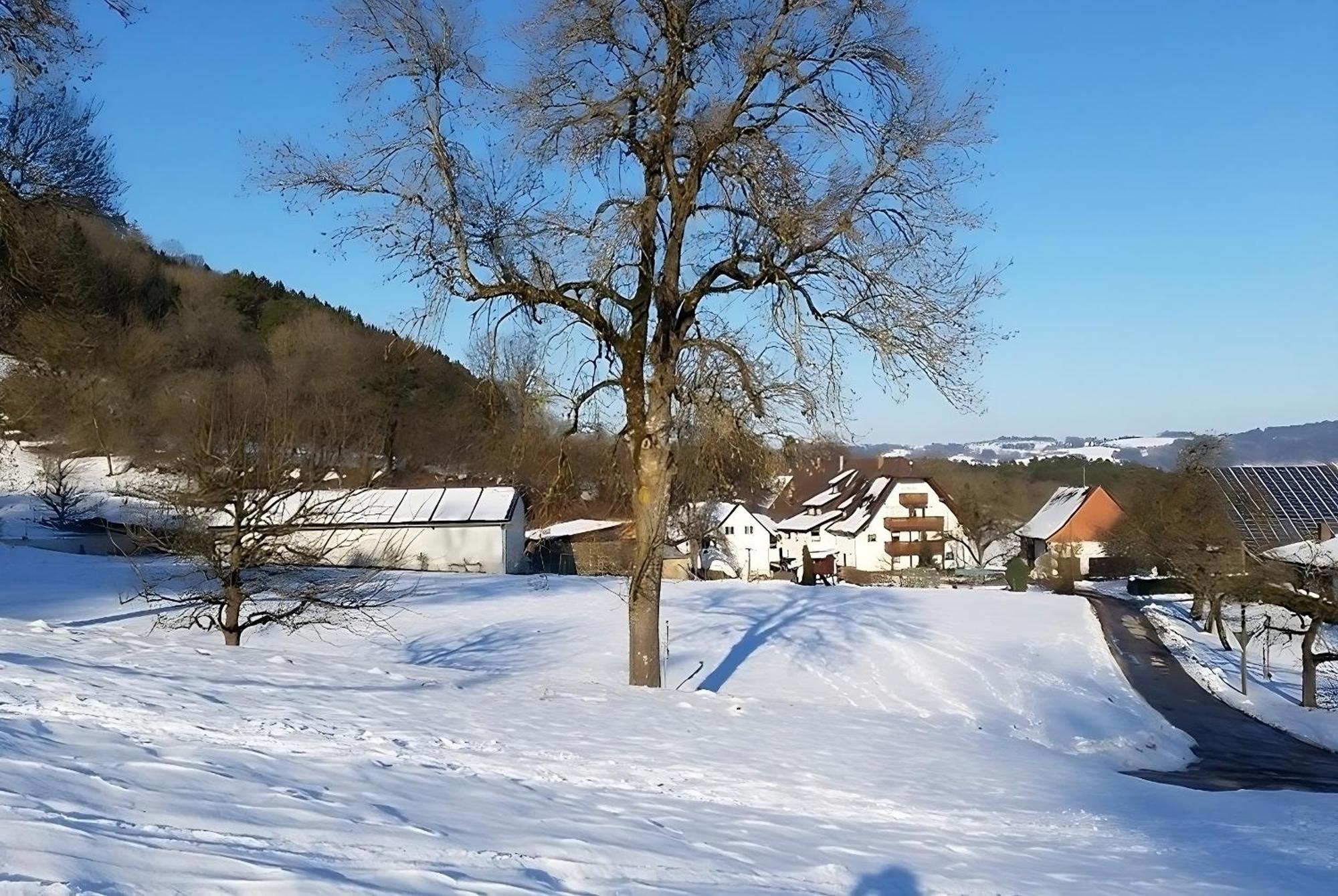 Mayer Burghoefe Owingen Esterno foto